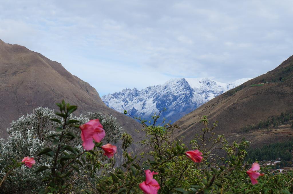 Ccapac Inka Ollanta Casa Museo Hotel Ollantaytambo Exterior photo